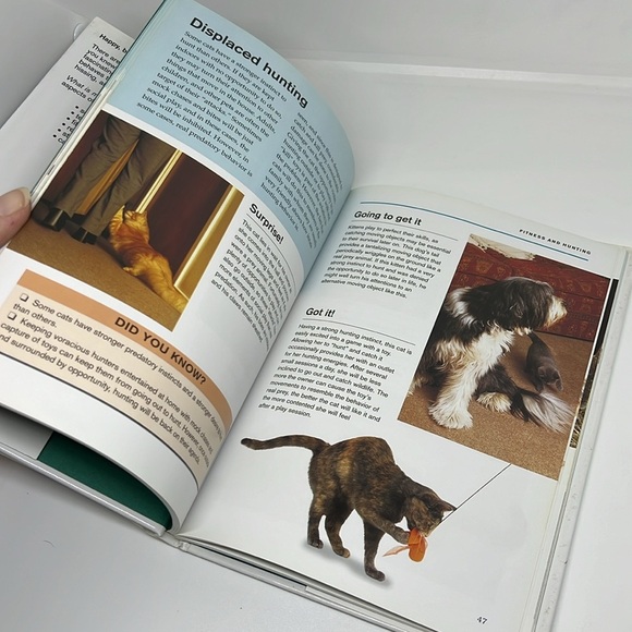 What is my cat Thinking by Gwen Bailey Hardback Book - Picture 6 of 11